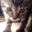�L��(��)